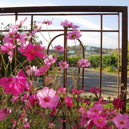 Jardines De Casablanca Hotel Caravaca de la Cruz Kültér fotó