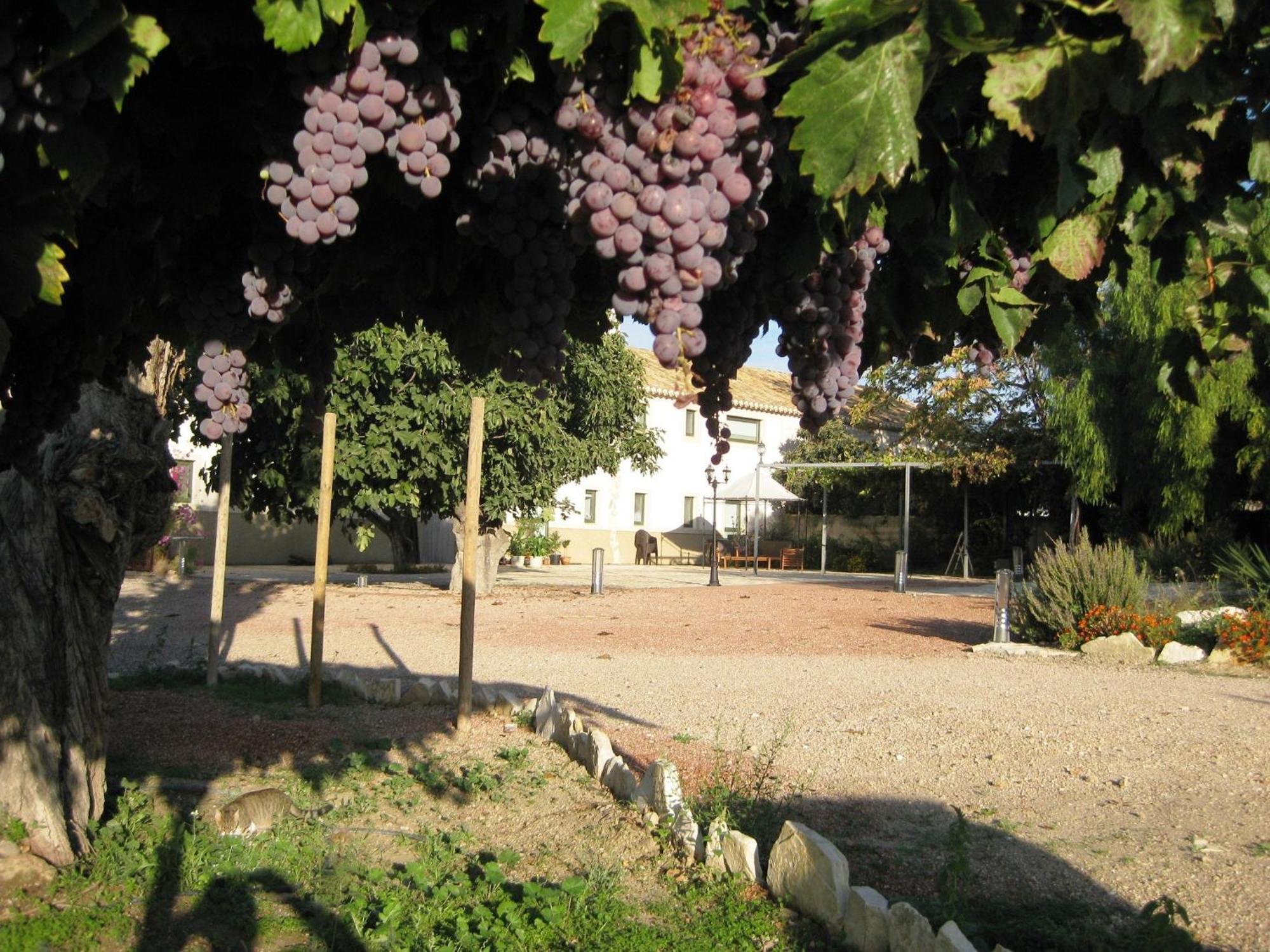 Jardines De Casablanca Hotel Caravaca de la Cruz Kültér fotó