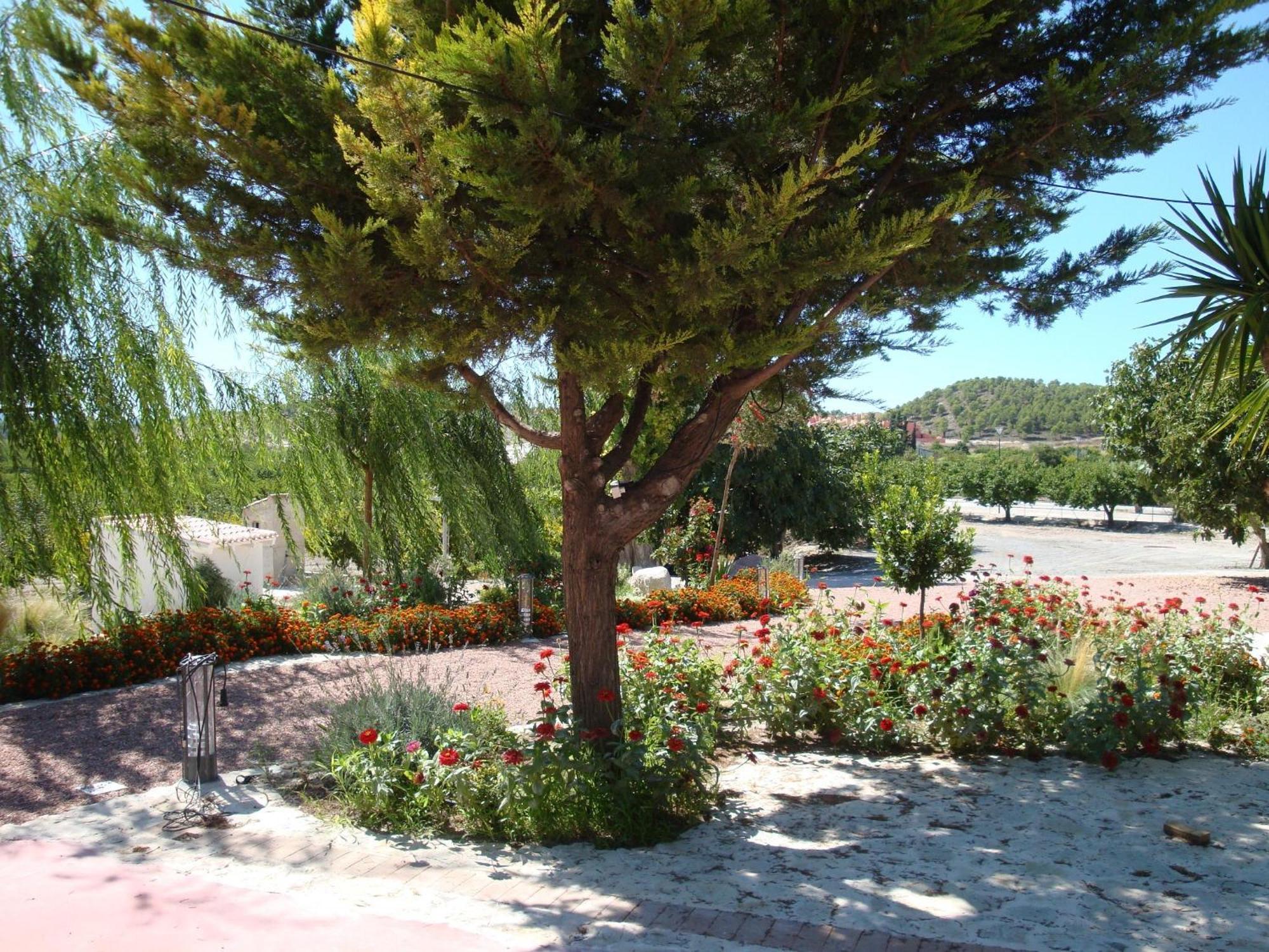 Jardines De Casablanca Hotel Caravaca de la Cruz Kültér fotó
