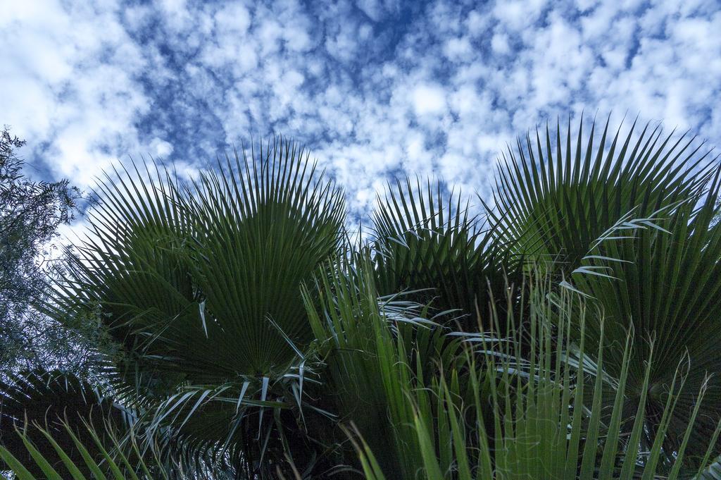 Jardines De Casablanca Hotel Caravaca de la Cruz Kültér fotó